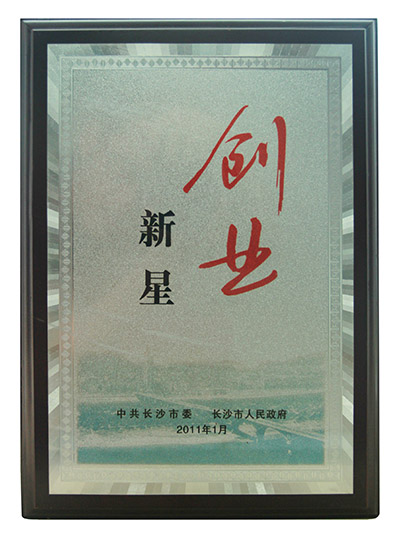 荣誉资质